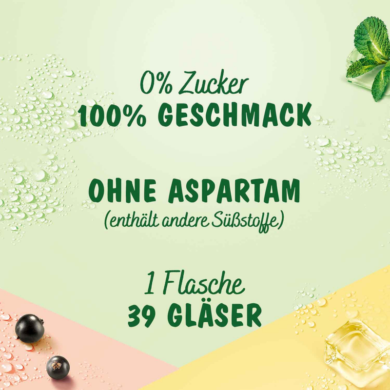  Teisseire Zero Holunderblüten 600ml 