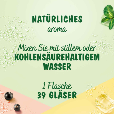  Teisseire Passionsfrucht 600ml 