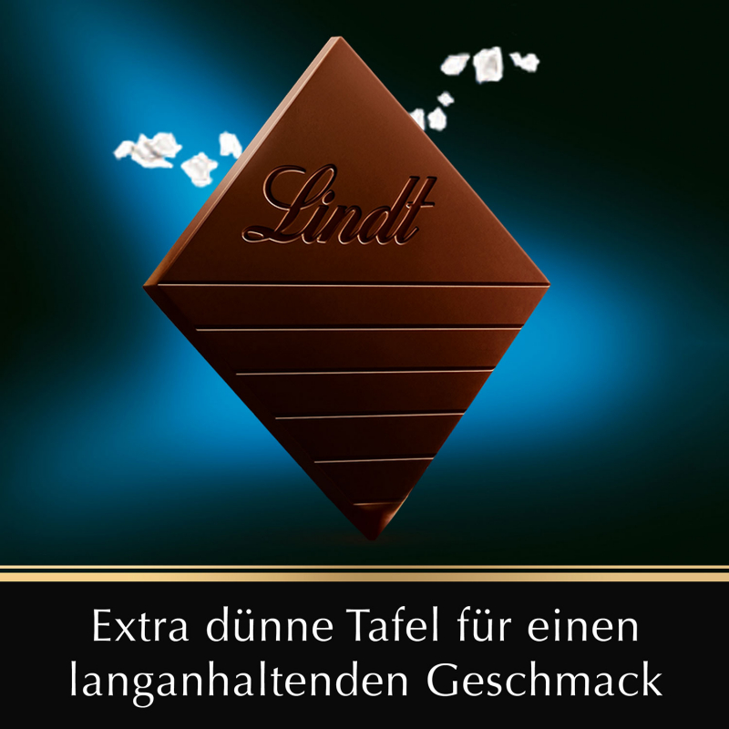  Lindt Excellence Fleur de Sel Feinherb Tafel 100g 